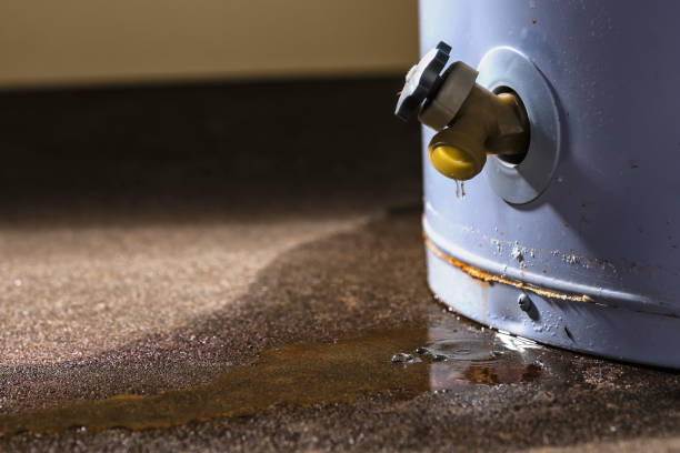 Best Residential water damage restoration  in Auburn, NY