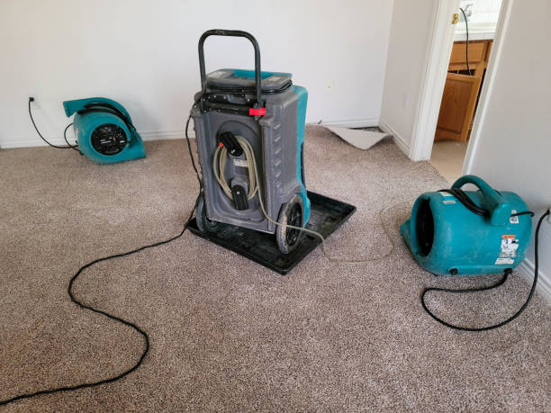 Best Professional water damage repair  in Auburn, NY