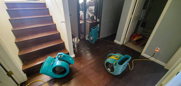Best Sewage cleanup and water damage restoration  in Auburn, NY