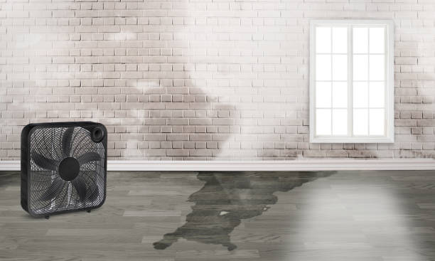 Best Emergency water damage restoration  in Auburn, NY