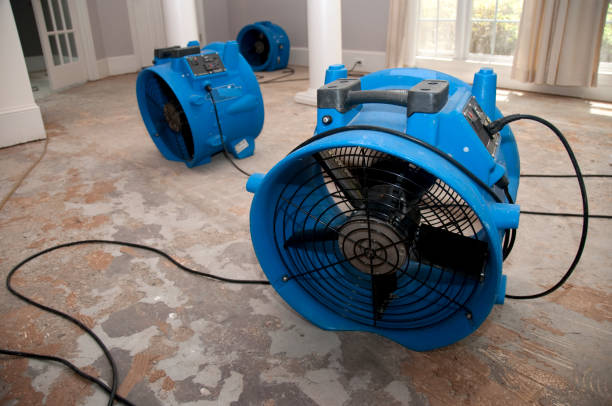 Best Flooded house restoration  in Auburn, NY