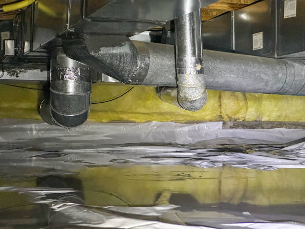 Best Carpet water damage restoration  in Auburn, NY
