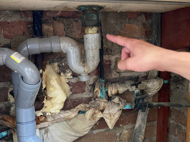 Best Water damage cleanup near me  in Auburn, NY