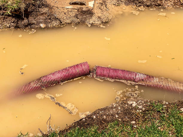 Best Local water damage restoration  in Auburn, NY