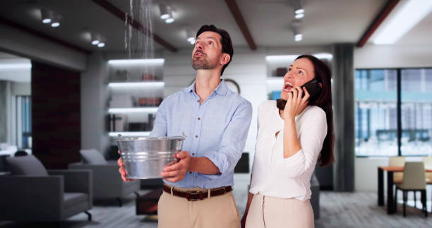 Best Flood restoration services  in Auburn, NY